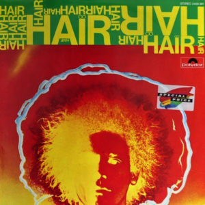 Various - Hair