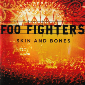 Foo Fighters - Skin And Bones